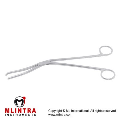 Cheattle Sterilizing Forcep Stainless Steel, 27 cm - 10 3/4"